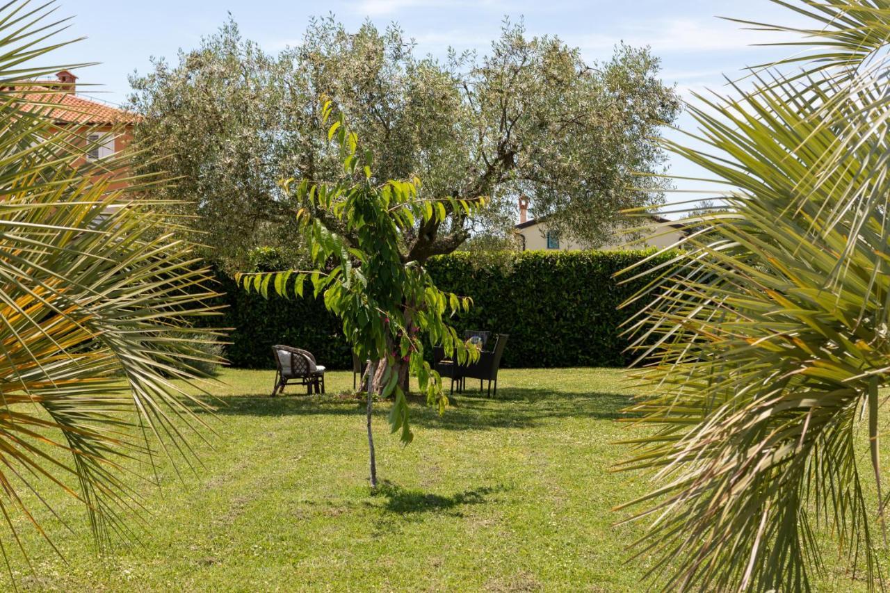 B&B Villa Oasa 1 Rovinj Exteriör bild